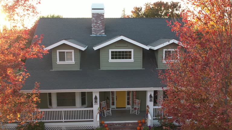 Best Roof Moss and Algae Removal  in Loves Park, IL